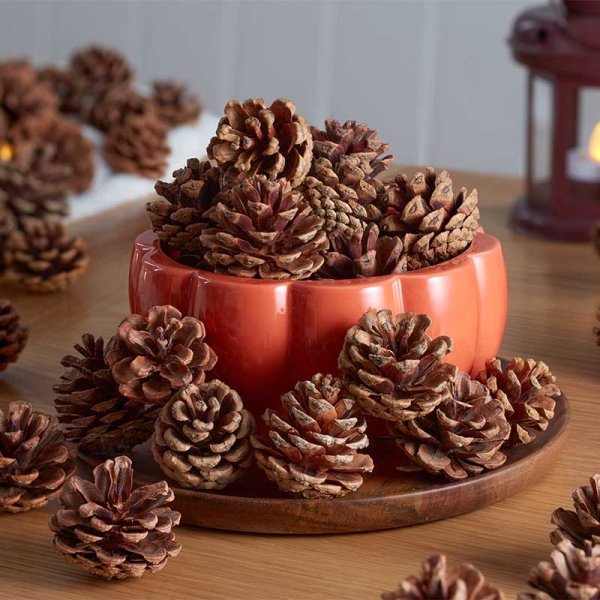 Autumn Décor Pine Cones - Saxons Garden & Home