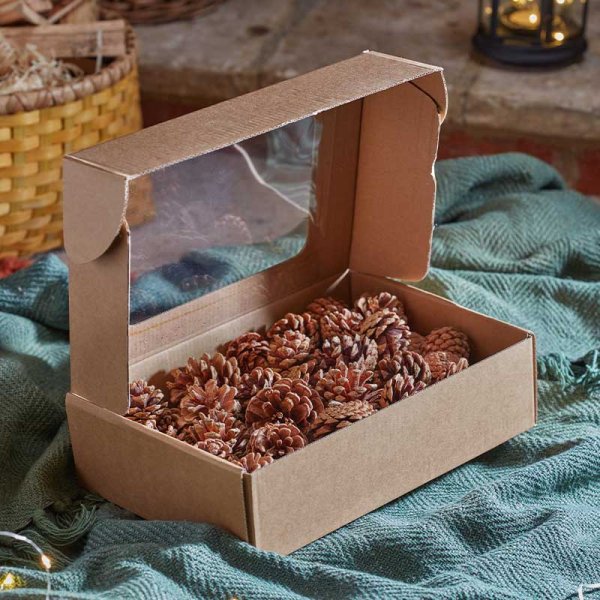 Autumn Décor Pine Cones - Saxons Garden & Home