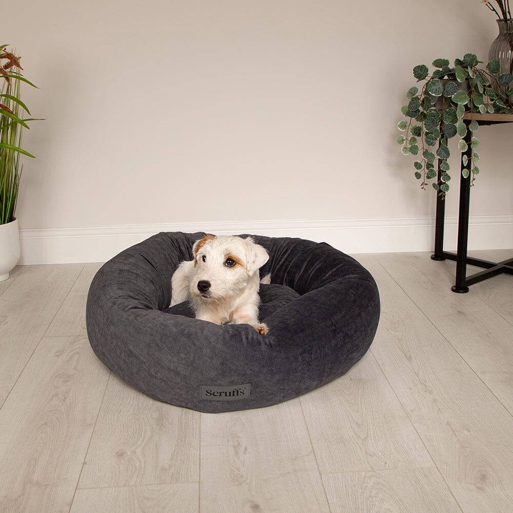Scruffs Oslo Ring Bed in Stone Grey - Saxons Garden & Home