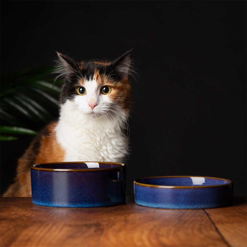 Scruffs Reactive Glaze Pet Saucer in Midnight Blue - Saxons Garden & Home