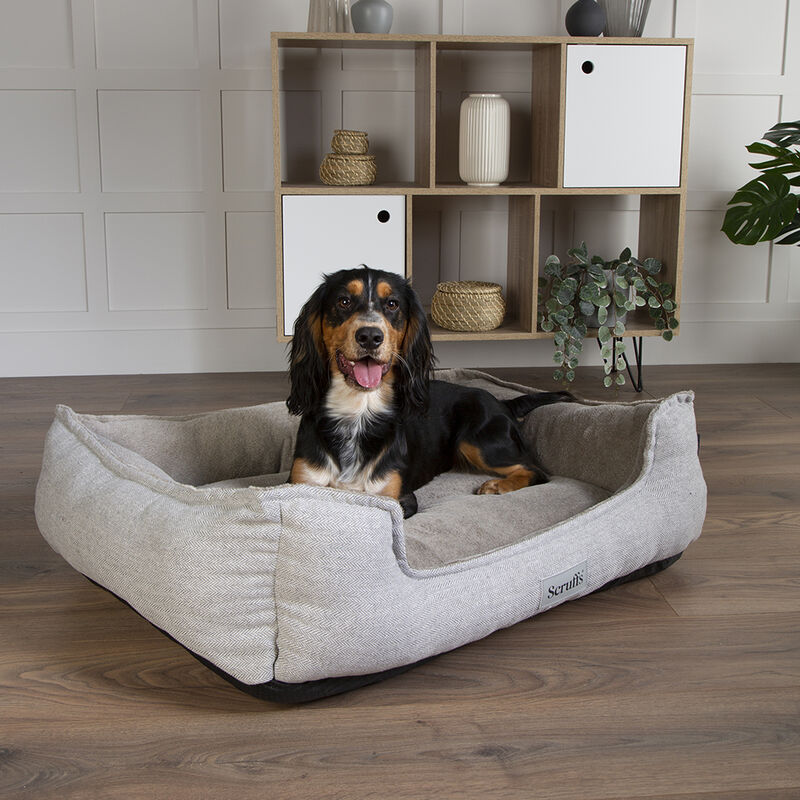 Scruffs Harvard Memory Foam Orthopaedic Box Bed in Pearl Grey - Saxons Garden & Home