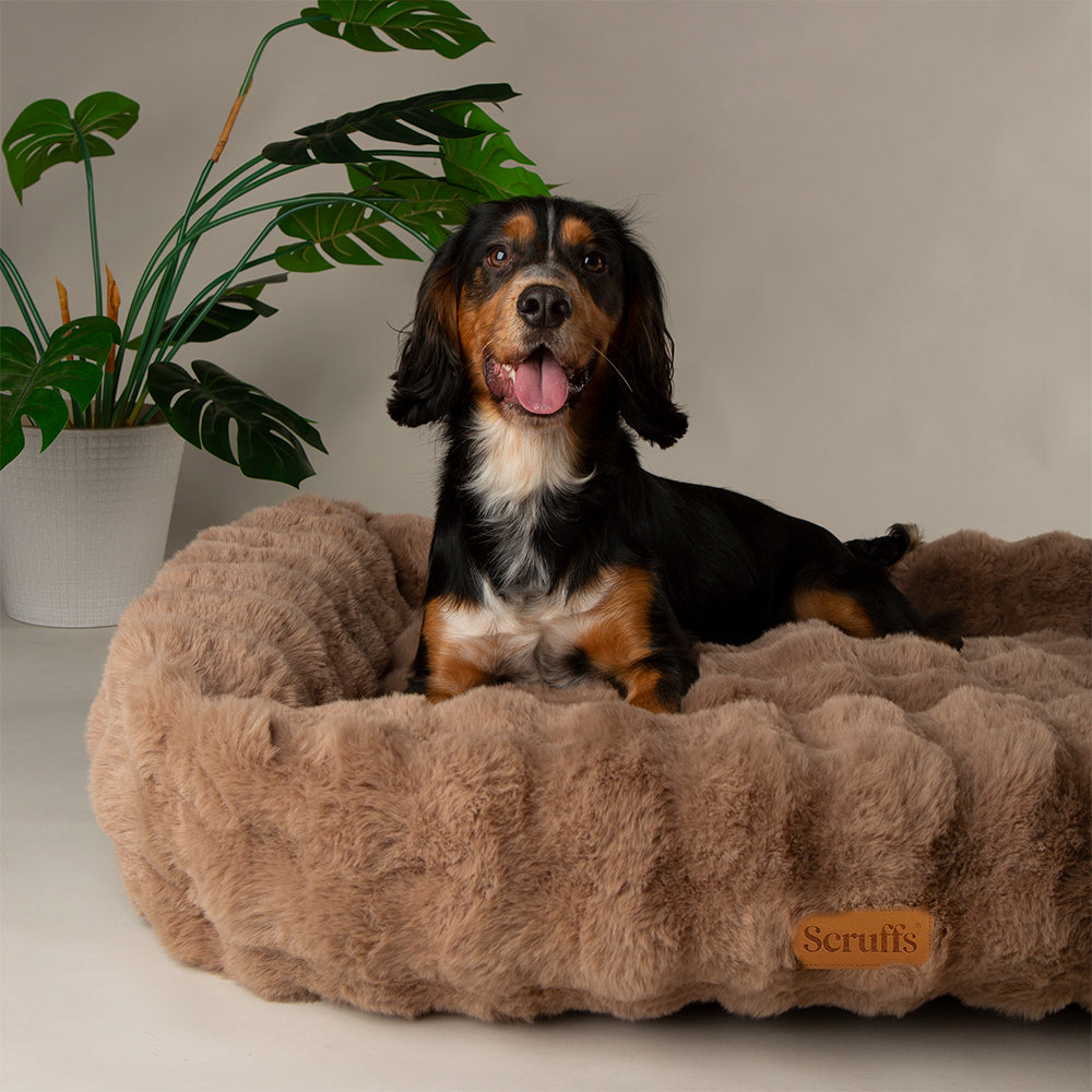 Scruffs Alpine Box Bed in Taupe - Saxons Garden & Home