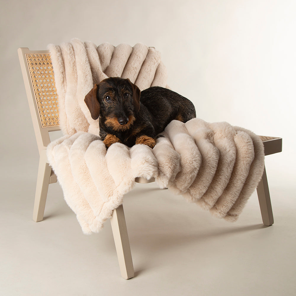 Scruffs Aspen Pet Blanket - Saxons Garden & Home