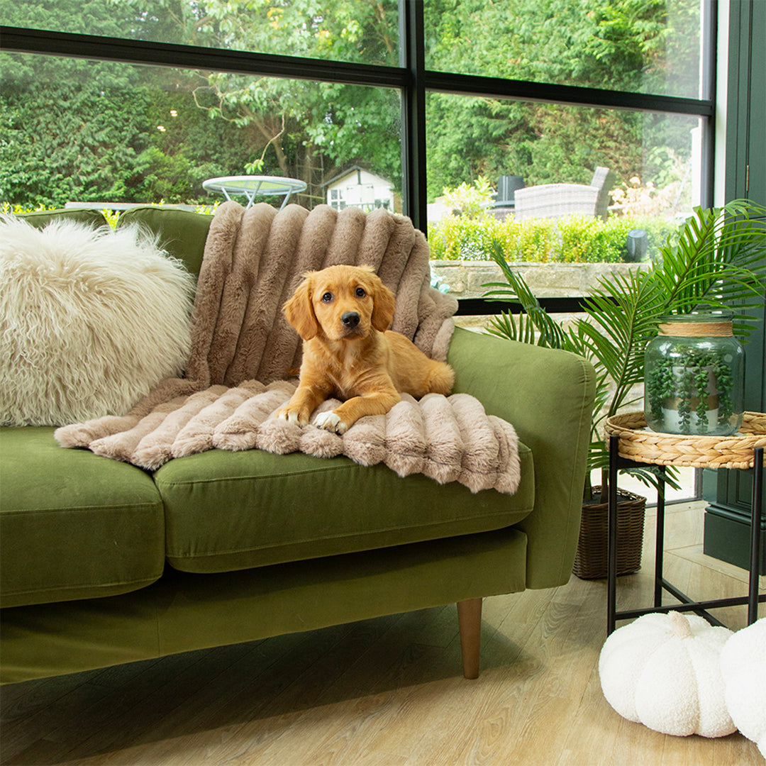 Scruffs Aspen Pet Blanket - Saxons Garden & Home
