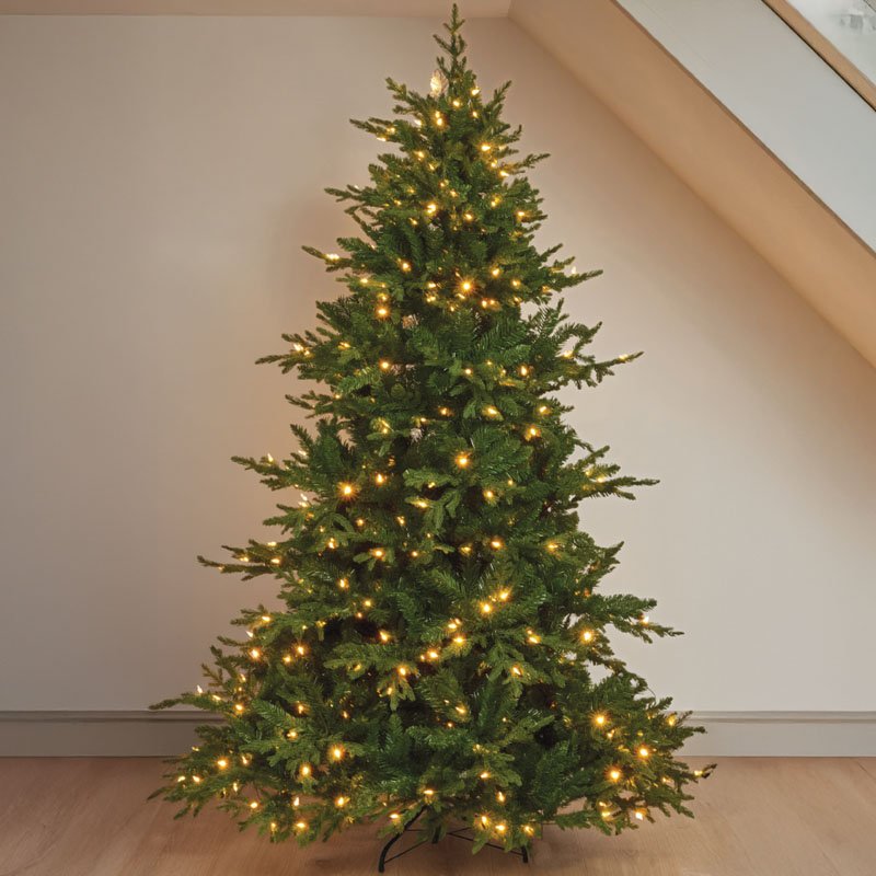 Three Kings 7ft InLit Premium King Conifer