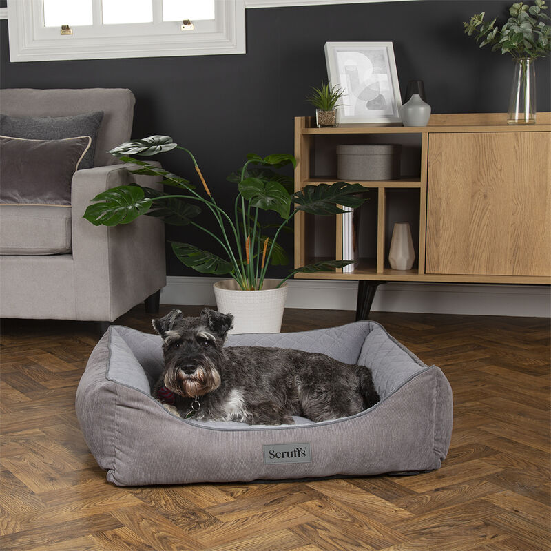 Scruffs Thermal Box Bed in Grey - Saxons Garden & Home