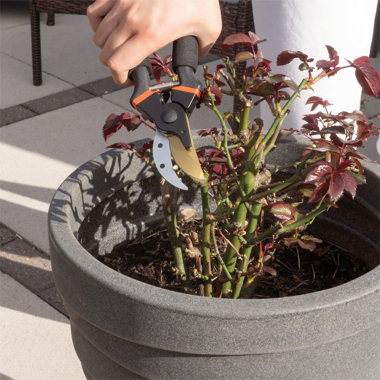 Saxons Pruning Shears/Secateurs - Saxons Garden & Home