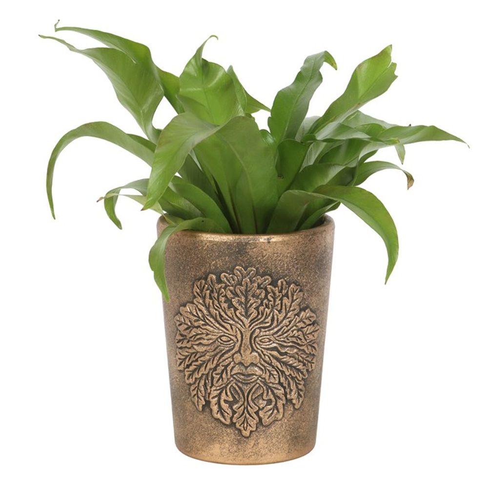 Green Man Bronze Terracotta Plant Pot by Lisa Parker - Saxons Garden & Home