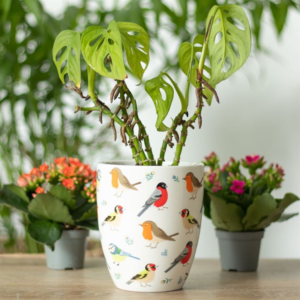 British Garden Birds Ceramic Plant Pot - Saxons Garden & Home