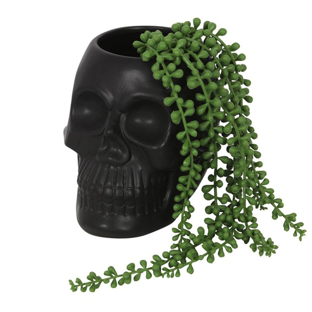 Black Skull Plant Pot - Saxons Garden & Home