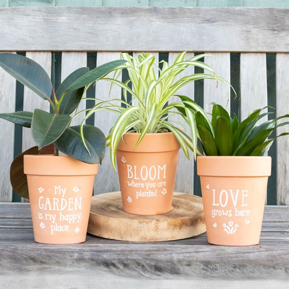 Bloom Where You Are Planted Terracotta Plant Pot - Saxons Garden & Home