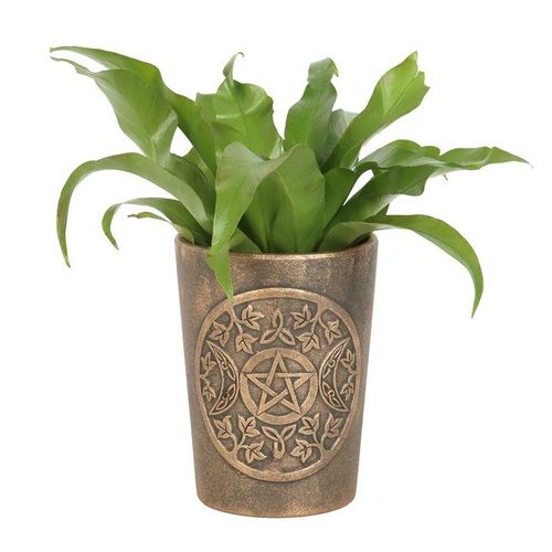 Triple Moon Bronze Terracotta Plant Pot by Lisa Parker - Saxons Garden & Home
