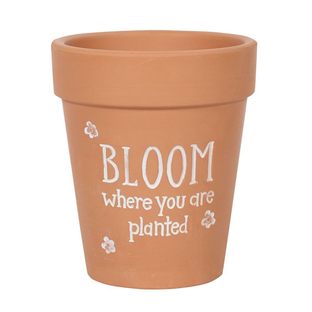 Bloom Where You Are Planted Terracotta Plant Pot - Saxons Garden & Home