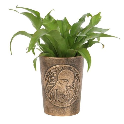 Moon Gazing Hare Bronze Terracotta Plant Pot by Lisa Parker - Saxons Garden & Home