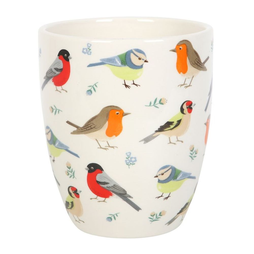British Garden Birds Ceramic Plant Pot - Saxons Garden & Home