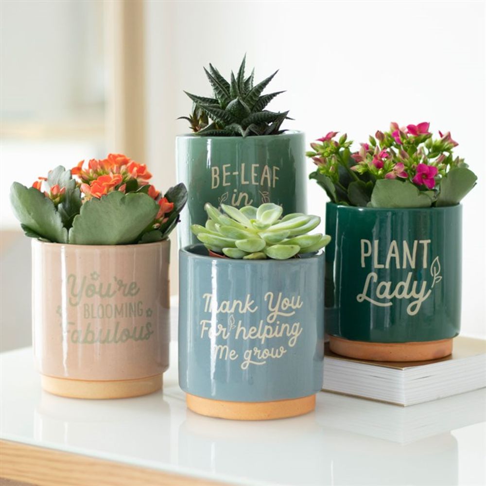 Blue Thank You For Helping Me Grow Plant Pot - Saxons Garden & Home