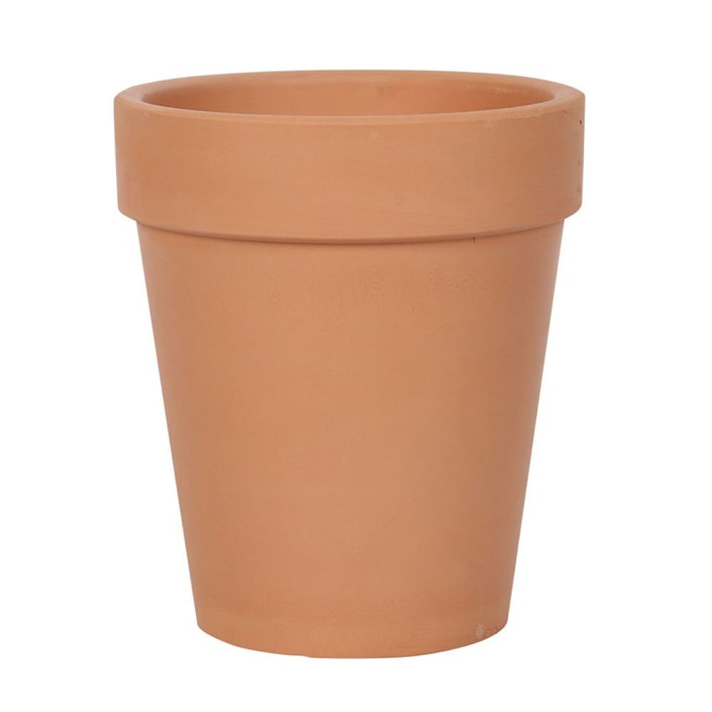 Bloom Where You Are Planted Terracotta Plant Pot - Saxons Garden & Home