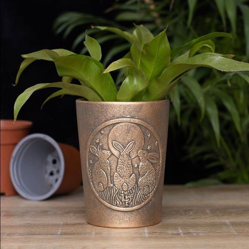 Moon Shadows Bronze Terracotta Plant Pot by Lisa Parker - Saxons Garden & Home
