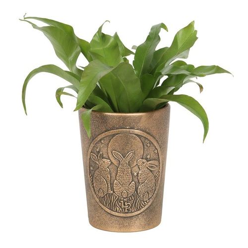 Moon Shadows Bronze Terracotta Plant Pot by Lisa Parker - Saxons Garden & Home