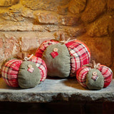 Autumn Décor Patchpumpkin - Xl - Saxons Garden & Home