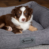 Scruffs Manhattan Box Bed in Dark Grey - Saxons Garden & Home
