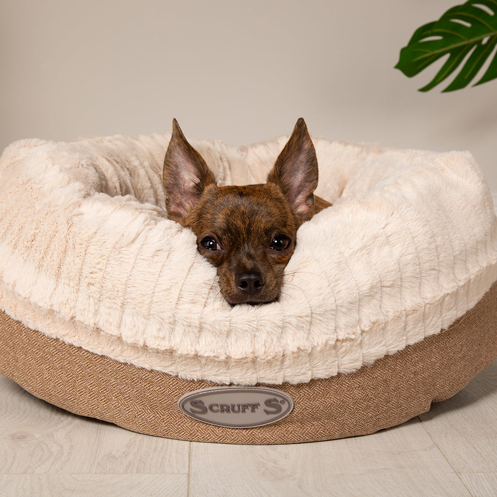 Scruffs Ellen Donut in Tan - Saxons Garden & Home