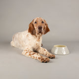 Scruffs Icon Non Tip Bowl - Saxons Garden & Home