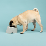 Scruffs Icon Slanted Pet Bowl - Saxons Garden & Home