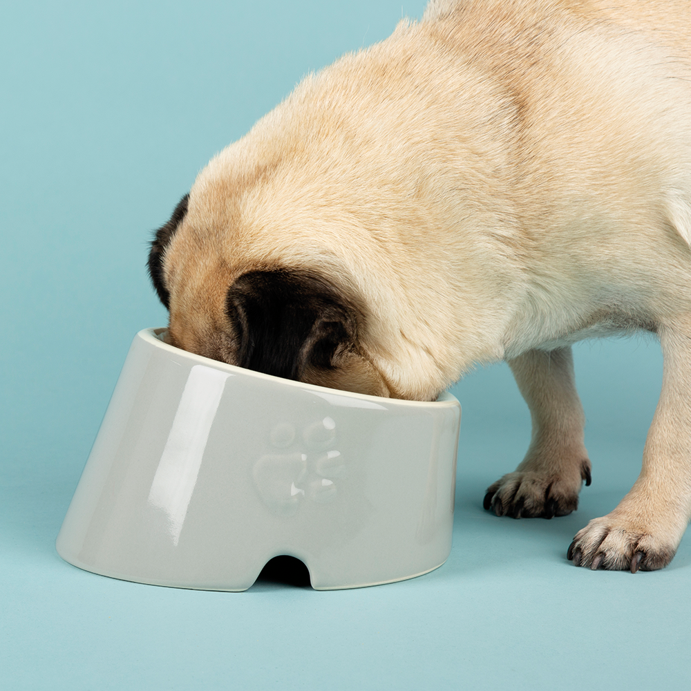 Scruffs Icon Slanted Pet Bowl - Saxons Garden & Home
