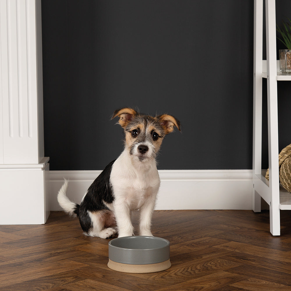Scruffs Scandi Non Tip Pet Food & Water Bowl - Saxons Garden & Home