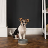 Scruffs Scandi Non Tip Pet Food & Water Bowl - Saxons Garden & Home