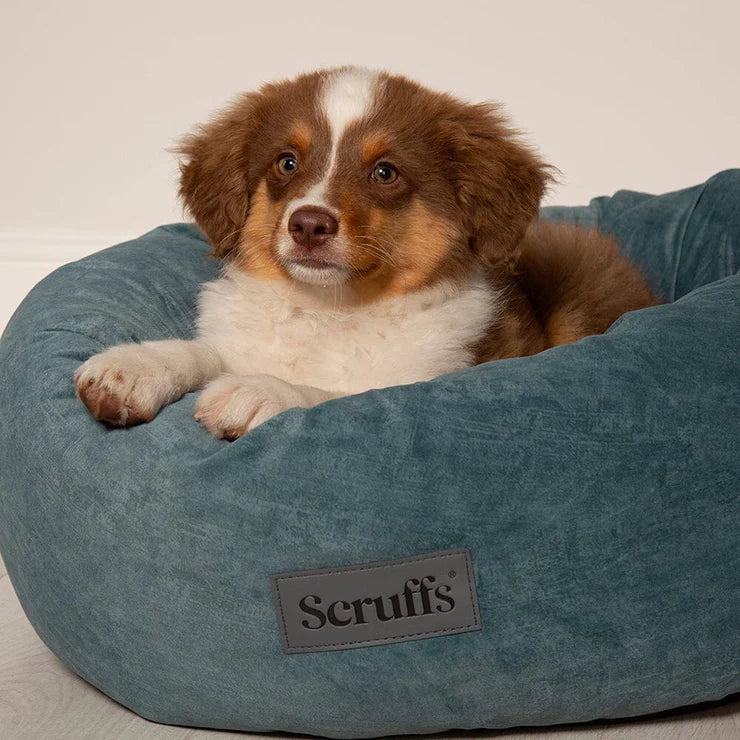 Scruffs Oslo Ring Bed in Lake Teal - Saxons Garden & Home