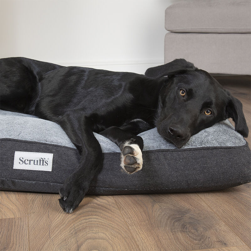 Scruffs Harvard Memory Foam Orthopaedic Mattress in Graphite Grey - Saxons Garden & Home
