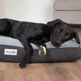 Scruffs Harvard Memory Foam Orthopaedic Mattress in Graphite Grey - Saxons Garden & Home