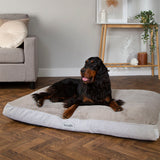 Scruffs Harvard Memory Foam Orthopaedic Mattress in Pearl Grey - Saxons Garden & Home