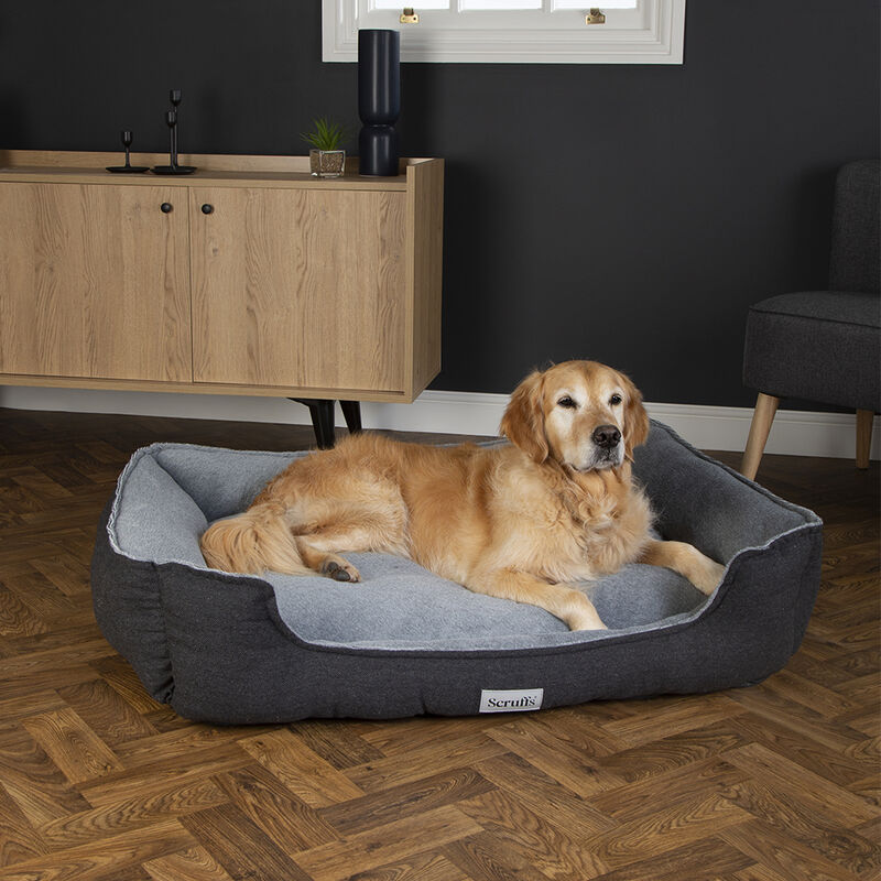 Scruffs Harvard Memory Foam Orthopaedic Box Bed in Graphite Grey - Saxons Garden & Home