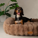 Scruffs Alpine Box Bed in Taupe - Saxons Garden & Home