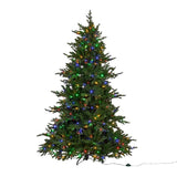Three Kings 8ft InLit Premium King Conifer