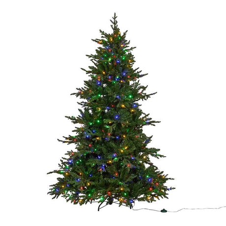 Three Kings 7ft InLit Premium King Conifer