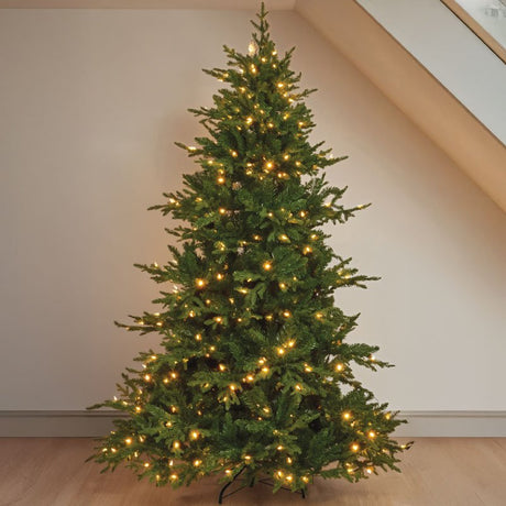 Three Kings 6ft InLit Premium King Conifer