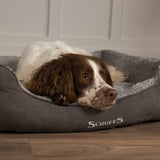 Scruffs Cosy Box Bed in Grey - Saxons Garden & Home