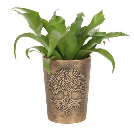 Tree of Life Bronze Terracotta Plant Pot by Lisa Parker - Saxons Garden & Home