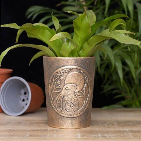 Moon Gazing Hare  Bronze Terracotta Plant Pot by Lisa Parker - Saxons Garden & Home