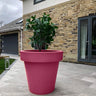 The 'Big' Plant Pot - Saxons Garden & Home
