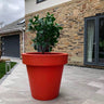 The 'Big' Plant Pot - Saxons Garden & Home
